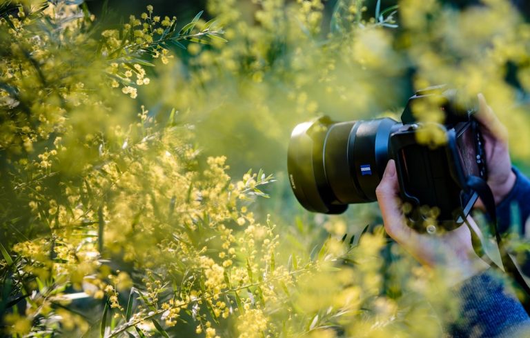 Beyond the Lens: Unconventional Photography Equipment Hacks for the Modern Shutterbug