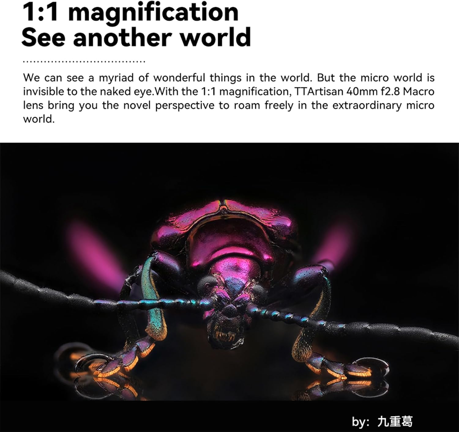 TTArtisan 40mm f/2.8 Macro Lens APS-C Manual Focus Prime Lens for E-Mount A5100 A6100 A6500 A6600 A6700 NEX-3N NEX-3R NEX-5T NEX-5R NEX-7 A7II A7M3 A7RIV A7R5 A7S A9 A1 II - Image 4